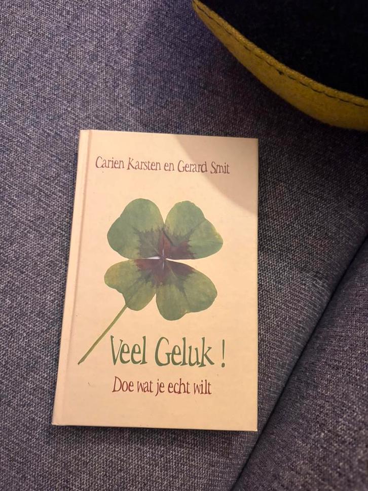 Veel Geluk! Doe wat je echt wilt - G. Smit, Boeken, Psychologie, Zo goed als nieuw, Ontwikkelingspsychologie, Ophalen of Verzenden