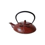 Gietijzeren geëmailleerde theepot met libelle, 21e eeuw, Overige materialen, Gebruikt, Overige typen, Ophalen of Verzenden