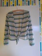 Leuke blouse/vest met zigzag patroon - Maat M, Maat 38/40 (M), Overige kleuren, Ophalen of Verzenden, Onbekend