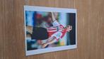 Foto 20x25cm met handtekening; Mark van Bommel # PSV, Verzenden, Nieuw, PSV