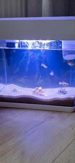Super fish aquarium 20L, Dieren en Toebehoren, Vissen | Aquaria en Toebehoren, Ophalen, Gevuld zoetwateraquarium