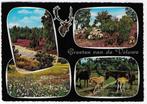 Veluwe Eerbeek gelopen ansichtkaart (B 2900), Ophalen of Verzenden, Gelopen