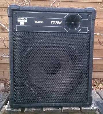 Luidsprekers 12 inch 75 - 150 Watt Torque, 2 stuks beschikbaar voor biedingen