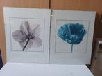 Alan Newnhan 2 posters beide in een lijst, Ophalen, Met lijst, A1 t/m A3, Dier of Natuur