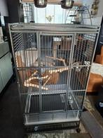 strong villa sophia papgaaienkooi, Ophalen, Zo goed als nieuw, Metaal, Vogelkooi