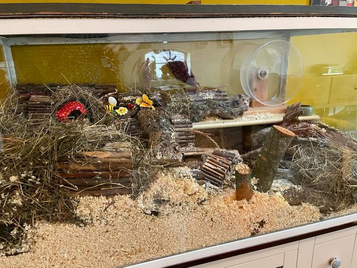 Groot aquarium 120x50x50, Dieren en Toebehoren, Knaagdieren en Konijnen | Toebehoren, Gebruikt, Overige typen, Ophalen