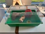 Hamsterkooi plus toebehoren, Kooi, Gebruikt, Minder dan 75 cm, Hamster