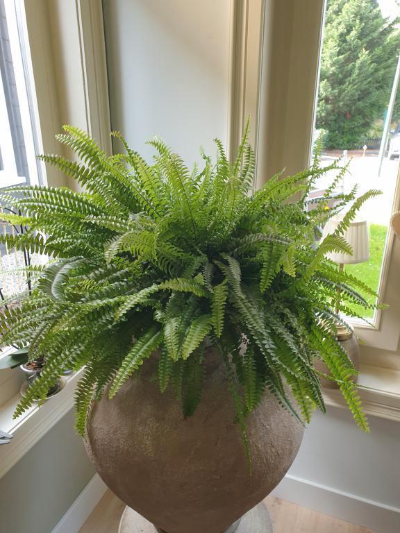 grote vaas , kruik , polystone, Huis en Inrichting, Woonaccessoires | Vazen, Nieuw, Overige kleuren, Minder dan 50 cm, Aardewerk of Porselein