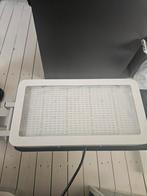 Aangeboden kweeklamp, Ophalen, Nieuw, Kweeklamp