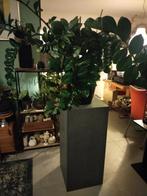 Plantenzuil met plant, Huis en Inrichting, Woonaccessoires | Zuilen en Pilaren, Ophalen of Verzenden, Zo goed als nieuw