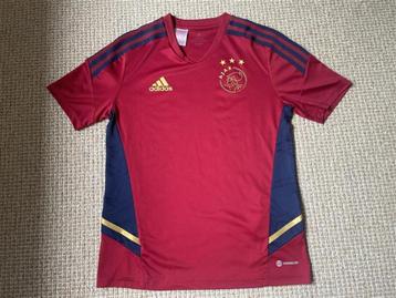 Ajax trainingsshirt en vest beschikbaar voor biedingen