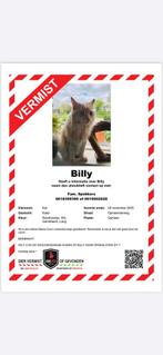 Wie brengt Billy terug, Dieren en Toebehoren