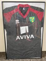 Norwich City trainingsshirt seizoen 2015-2016, Maat L, Ophalen, Nieuw, Shirt