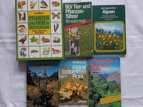 Natuur 4: (DUITSTALIG) Plant dier Alpen Dolomieten, Boeken, Natuur, Gelezen, Natuur algemeen, Ophalen of Verzenden