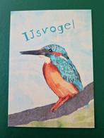 IJsvogel., Ongelopen, Vogel, Ophalen of Verzenden, 1980 tot heden