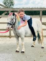 Super leuke kinderpony, Dieren en Toebehoren, Pony's, Zadelmak, B pony (1.17m tot 1.27m), 11 jaar of ouder, Recreatiepony