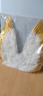 Vleugels Carnaval, Kleding | Dames, Carnavalskleding en Feestkleding, Ophalen, Zo goed als nieuw, Carnaval