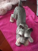 Royal Präsente Schnauzer Beeld, Ophalen, Zo goed als nieuw, Overige materialen, Dierenbeeld