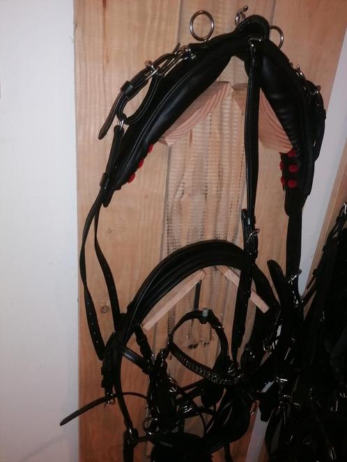 Ponytuig enkelspan tuigen tuigage bwelsh, Dieren en Toebehoren, Paarden en Pony's | Hoofdstellen en Tuigage, Nieuw, Ophalen of Verzenden