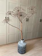 Zwarte Decoratieve pot met Berenklauw, Huis en Inrichting, Ophalen, Overige materialen, Zwart, Zo goed als nieuw