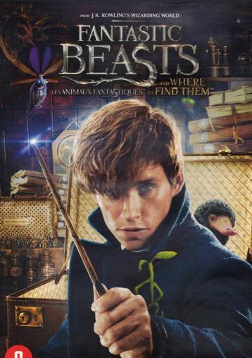 Fantastic Beasts And Where To Find Them - David Yates beschikbaar voor biedingen
