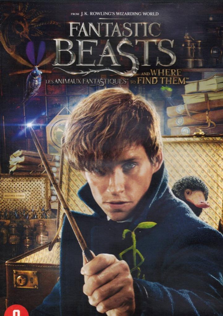Fantastic Beasts And Where To Find Them - David Yates, Cd's en Dvd's, Dvd's | Science Fiction en Fantasy, Zo goed als nieuw, Fantasy