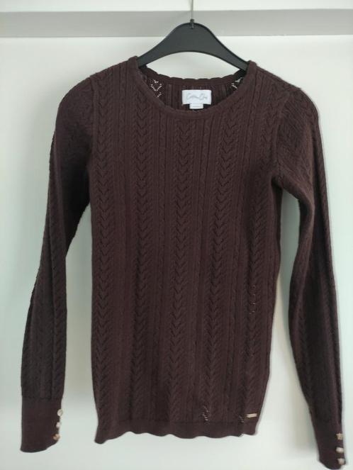 Bruin ajour truitje mt xs zgan van de cotton club, Kleding | Dames, Tops, Zo goed als nieuw, Maat 34 (XS) of kleiner, Bruin, Lange mouw