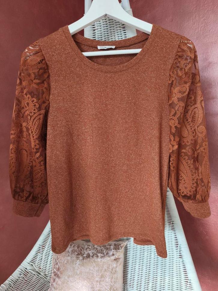 Cache Cache - Top kant kanten mouwen roest bruin - mt xs, Kleding | Dames, Tops, Gedragen, Maat 34 (XS) of kleiner, Bruin, Verzenden