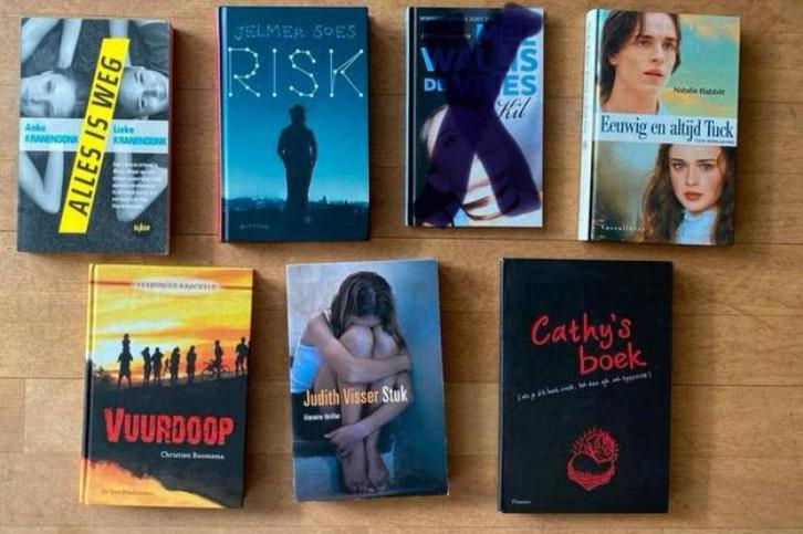 Young Adults boeken, Boeken, Kinderboeken | Jeugd | 13 jaar en ouder, Zo goed als nieuw, Fictie, Ophalen of Verzenden