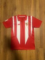 Sevilla 2015/2016 uit shirt, New Balance, Maat 48/50 (M), Ophalen of Verzenden, Zo goed als nieuw