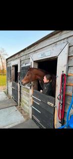 Paardenstal  2 pony boxen en opslag, Dieren en Toebehoren, Stalling en Weidegang