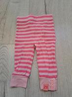 Z8 legging maat 62, Gebruikt, Broekje, Meisje, Z8