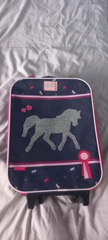 Koffer glitter paard beschikbaar voor biedingen