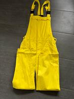 Carnaval Verkleedpak als flugel 10€ compleet, Ophalen of Verzenden, Zo goed als nieuw