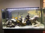 Aquarium with accessories, Ophalen, Gebruikt, Leeg aquarium