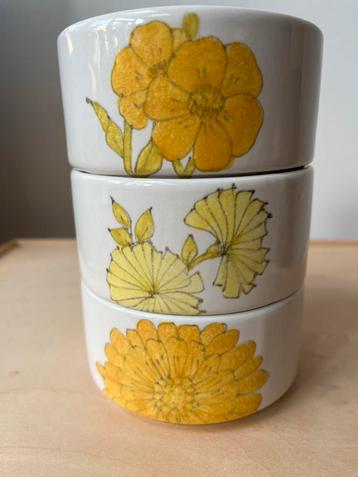 3 Ernestine Salerno Dahlias kommen - Italie beschikbaar voor biedingen