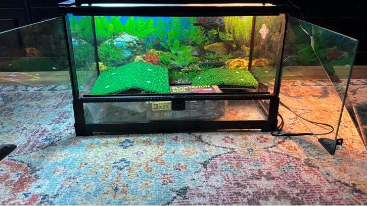 Terraruim 51 x 25 x 30, Dieren en Toebehoren, Reptielen en Amfibieën | Toebehoren, Zo goed als nieuw, Ophalen of Verzenden