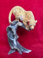 Heel mooi luipaard beeld, Ophalen, Nieuw, Dier