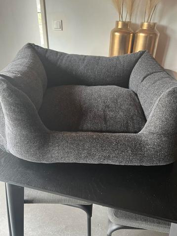 Fantail hondenmand  beschikbaar voor biedingen