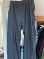 Jane lushka pantalon, Kleding | Dames, Broeken en Pantalons, Nieuw, Ophalen of Verzenden, Jane Lushka, Maat 36 (S)