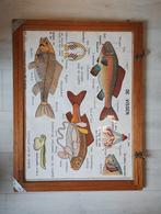 Oude schoolplaten in wissellijst, Ophalen of Verzenden, Natuur en Biologie