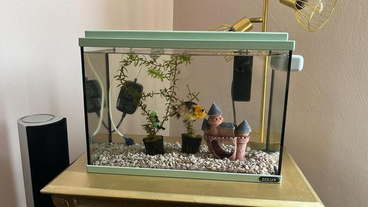 Zolux aquarium 20 liter- 40x20x30cm, Dieren en Toebehoren, Vissen | Aquaria en Toebehoren, Gebruikt, Leeg aquarium, Ophalen