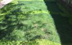 ZGAN. 4x vijvernet (1x =nieuw)/ net voor gewasbescherming, Tuin en Terras, Vijver-toebehoren, Ophalen of Verzenden, Zo goed als nieuw