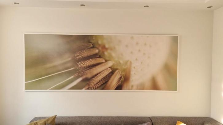 Groot schilderij van behang paardenbloem, Antiek en Kunst, Kunst | Schilderijen | Modern, Ophalen