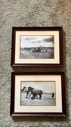 Twee Vintage Landbouw Foto's, Antiek en Kunst, Kunst | Tekeningen en Foto's, Ophalen