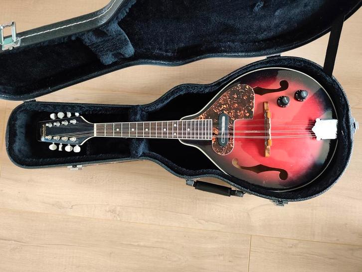 Samick SM20E Mandoline - Mooie Klank!, Muziek en Instrumenten, Snaarinstrumenten | Mandolines, Gebruikt, Ophalen