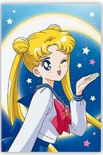 Sailor Moon magneet, Ophalen of Verzenden, Nieuw, Film, Gebruiksvoorwerp