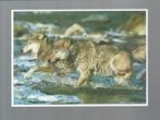 2724 Kaart dieren wolven wolf, Verzamelen, Wild dier, Ongelopen, Verzenden