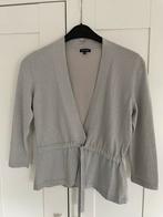 Caroline Biss vest zilverkleurig  maat 36, Kleding | Dames, Truien en Vesten, Ophalen of Verzenden, Zo goed als nieuw, Maat 38/40 (M)