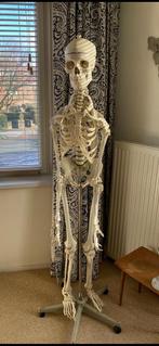 Medisch skelet, Ophalen, Gebruikt